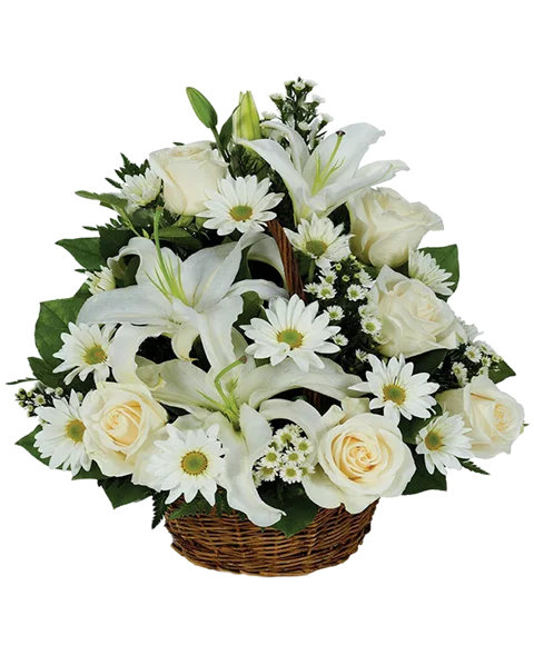 Cesto funebre