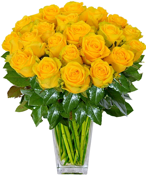 Bouquet di rose gialle