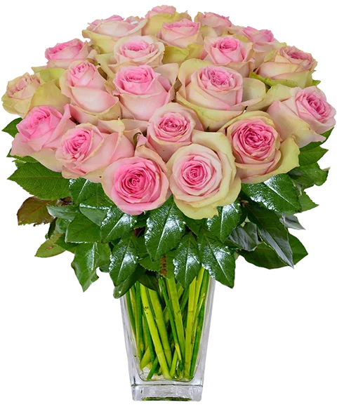Bouquet di rose rosa