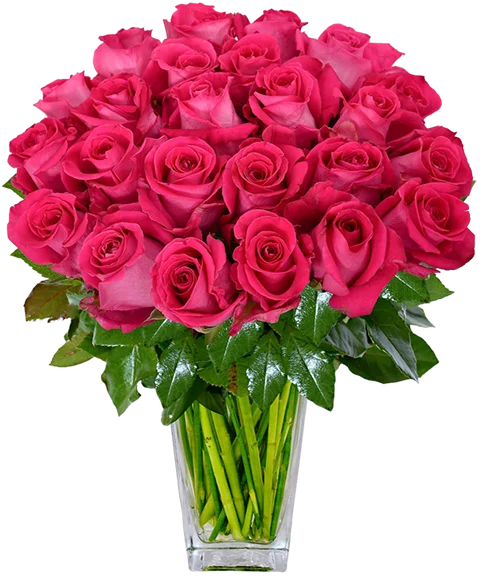 Bouquet di rose fucsia