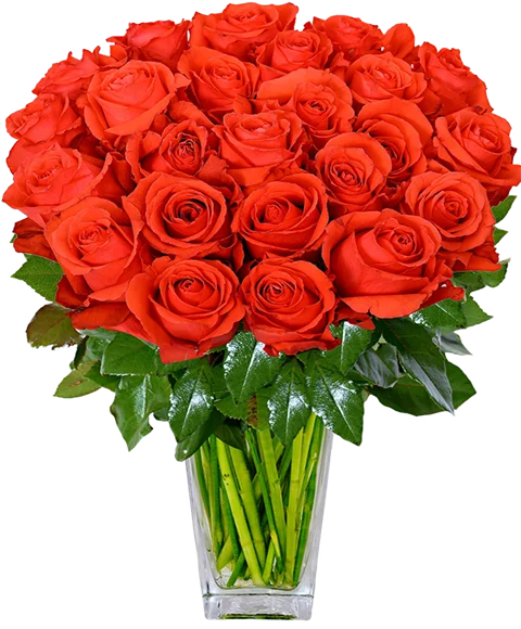 Mazzo di rose rosse