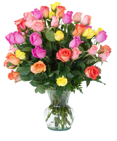 Mazzo di rose colori diversi